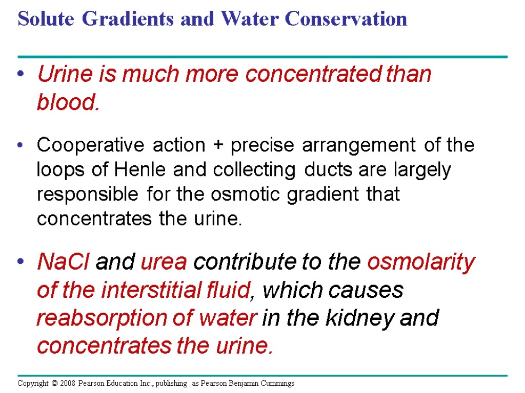 Solute Gradients and Water Conservation Urine is much more concentrated than blood. Cooperative action